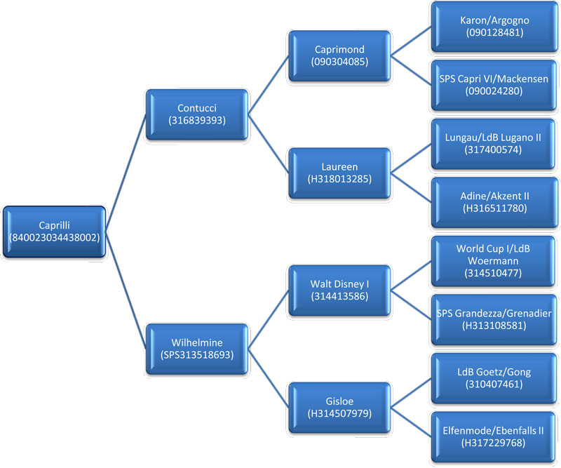 CaprilliBreedChart